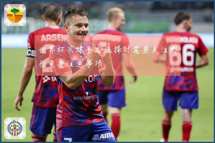世界杯买球平台选择时需要关注哪些重要注意事项