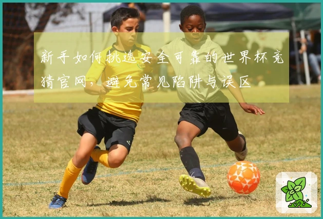 新手如何挑选安全可靠的世界杯竞猜官网，避免常见陷阱与误区