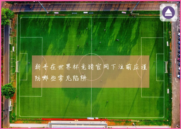 新手在世界杯竞猜官网下注前应谨防哪些常见陷阱